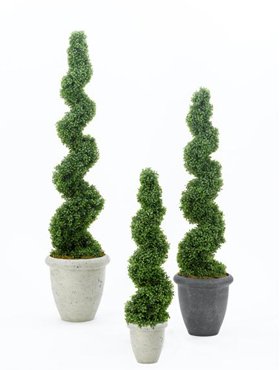 Самшит искусственный Спираль