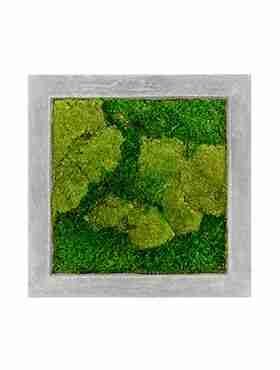 Панно из стабилизированного мха Moss painting Raw