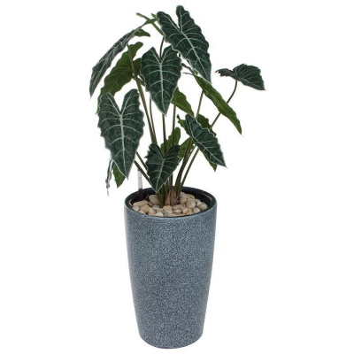 Искусственное растение Алоказия в горшке Vase Stone