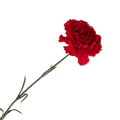 Гвоздика искусственная