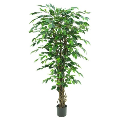 Искусственное дерево Фикус 