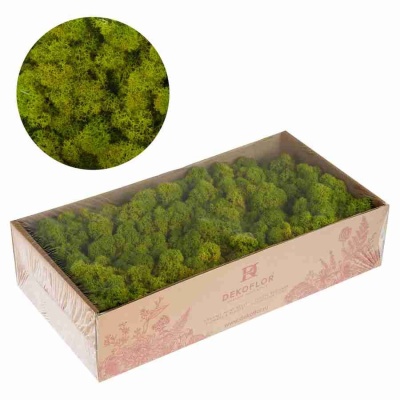 Ягель стабилизированный зеленый лайм