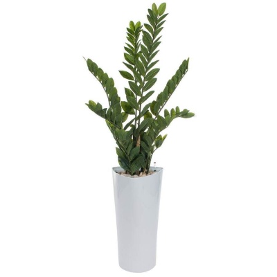 НоменклатураПрисоединенныеФайлы