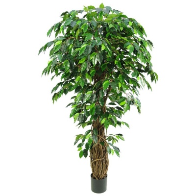 Фикус искусственный