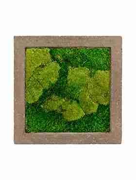 Панно из стабилизированного мха Moss painting Rock