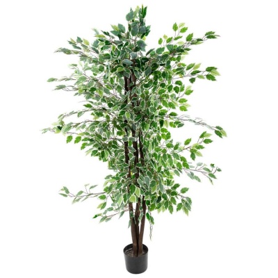 Фикус бенджамина Старлайт искусственный