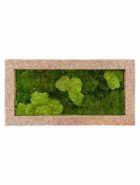 Панно из стабилизированного мха Moss painting Naturescast