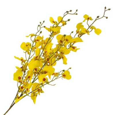 Дендробиум искусственный