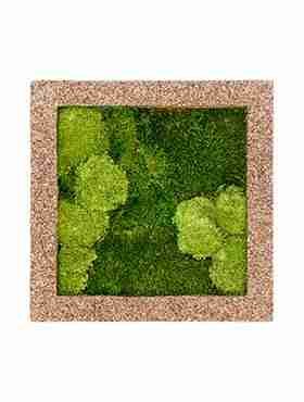 Панно из стабилизированного мха Moss painting Naturescast