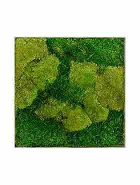 Панно из стабилизированного мха Moss painting Superline L