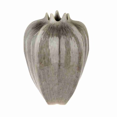 3D Ваза Carambola
