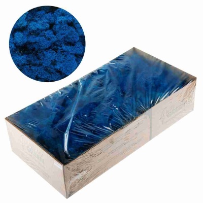 Мох стабилизированный синий