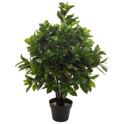 Лавр искусственное дерево
