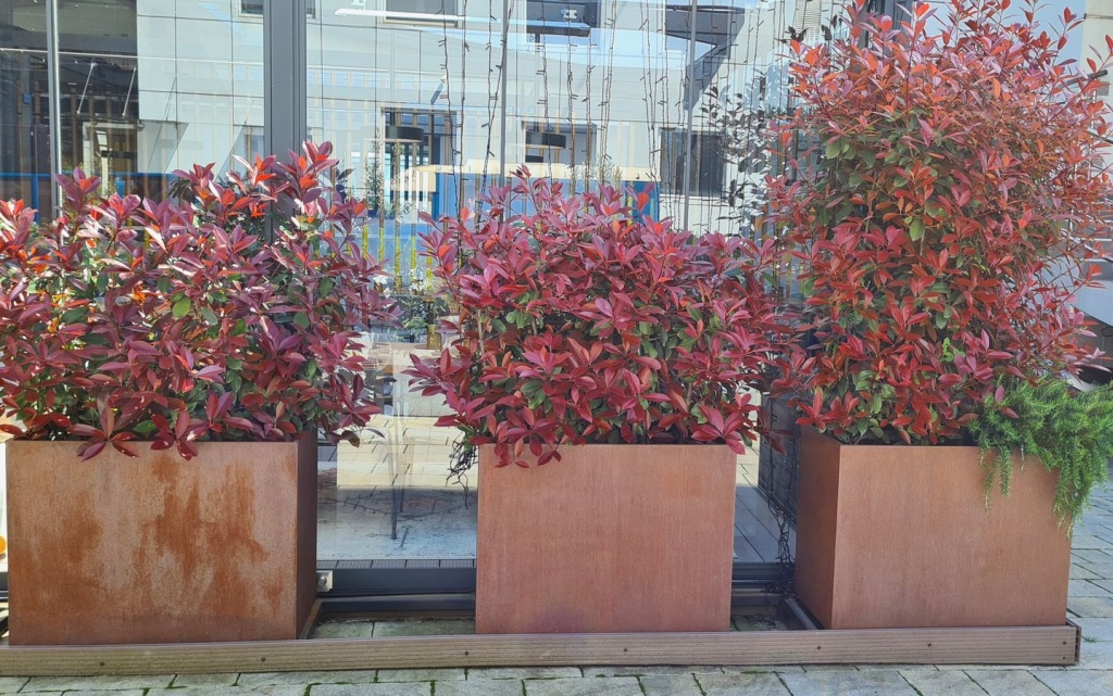 большие металлические горшки