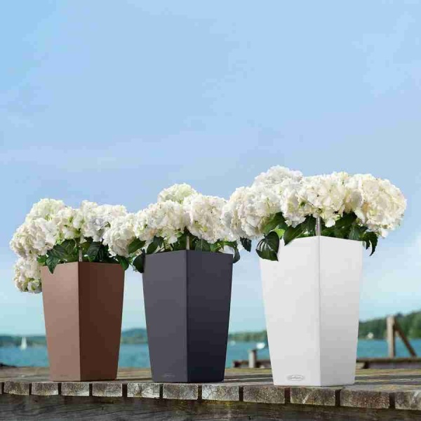 Кашпо Lechuza Cubico Color