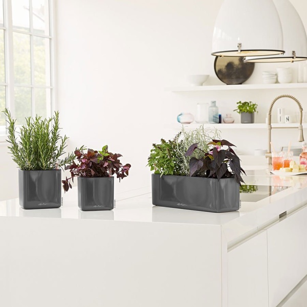 Кашпо Lechuza Cube Glossy