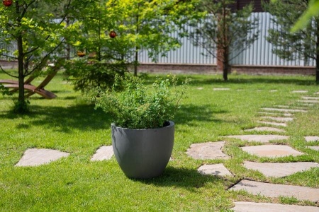 Цветочный горшок Round vase