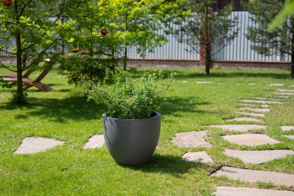 Цветочный горшок Round vase