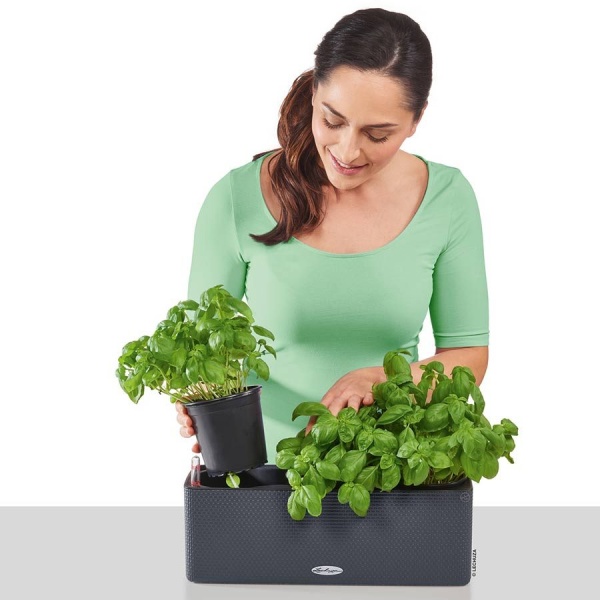 Кашпо Lechuza Cube Color Triple