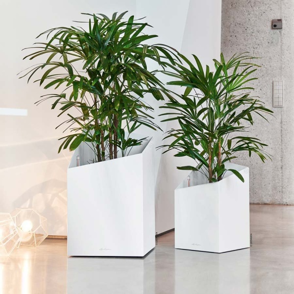 Кашпо Lechuza Cursivo