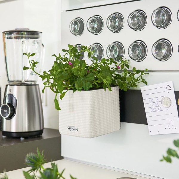 Магнитный держатель Lechuza