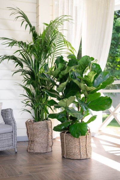 Кашпо плетеное Tower фото