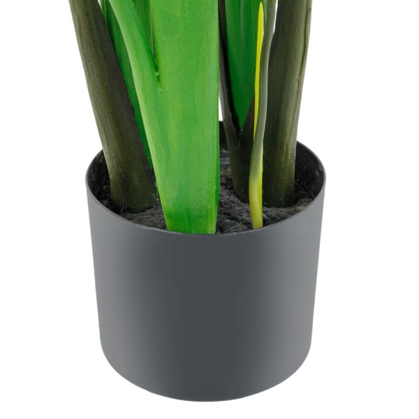 Стрелиция искусственная