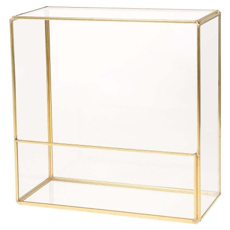 Флорариум стеклянный Швитцер