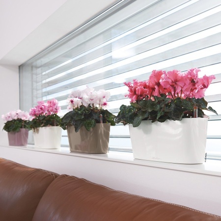 Кашпо Lechuza Delta 10