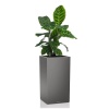 Кашпо Lechuza Canto Column