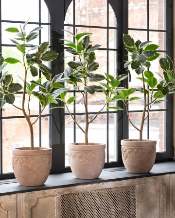 Фикус Робуста искусственный