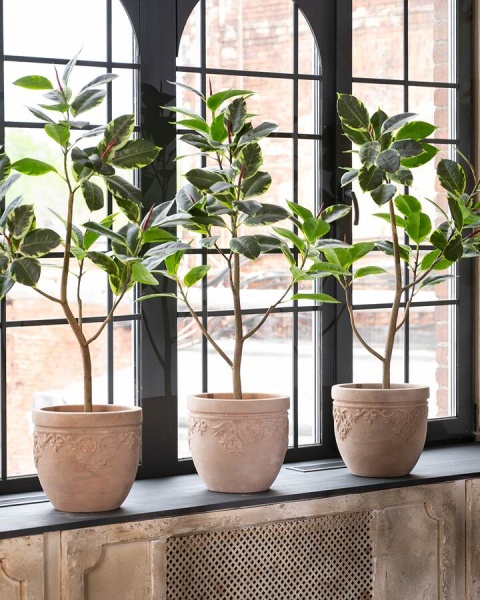 Фикус Робуста искусственный