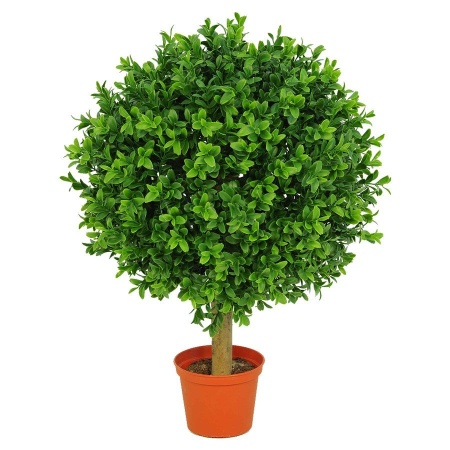 Самшит искусственный Шар в кашпо 