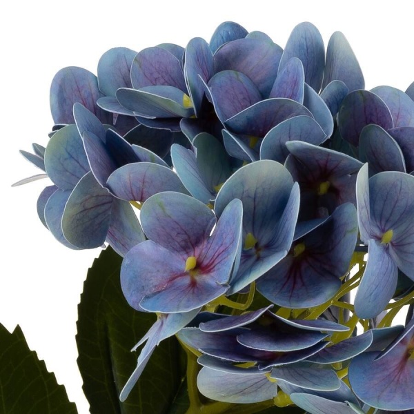 Гортензия силиконовая