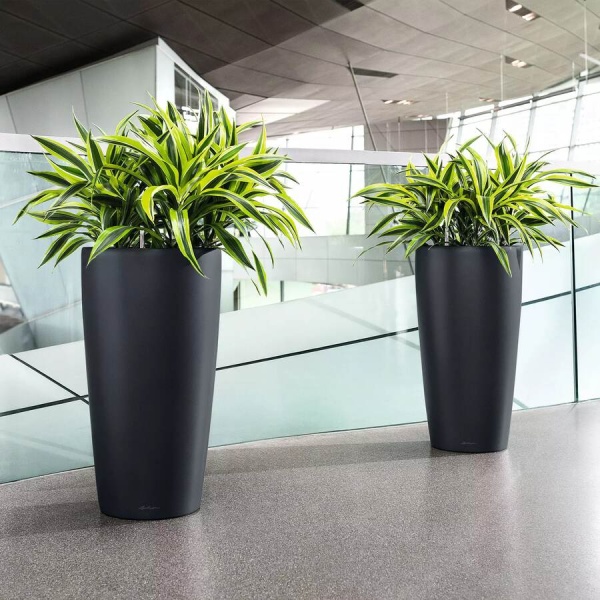 Кашпо Lechuza Rondo matt