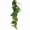 Искусственная лиана Потос