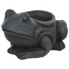 Кашпо декоративное Frog Pot фото