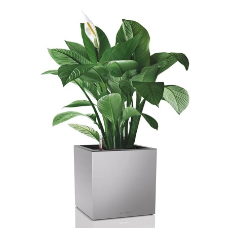 Кашпо Lechuza Canto Cube