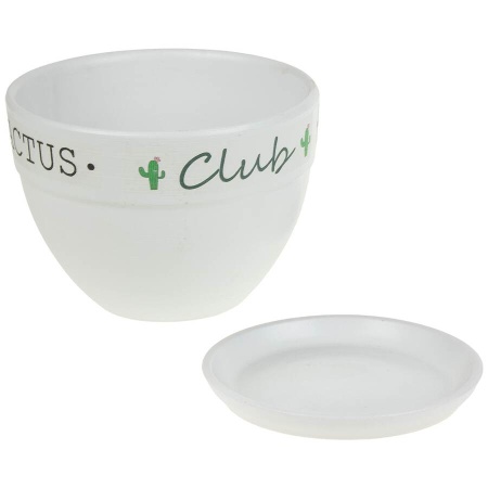 Кашпо White Cactus