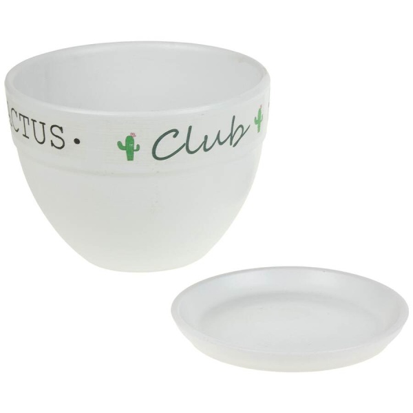 Кашпо White Cactus