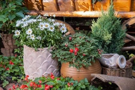 Глиняный большой горшок Mterra Leaves Jar