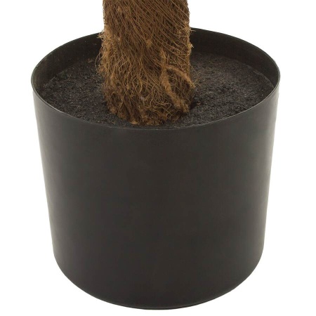 Пальма Кариота искусственная