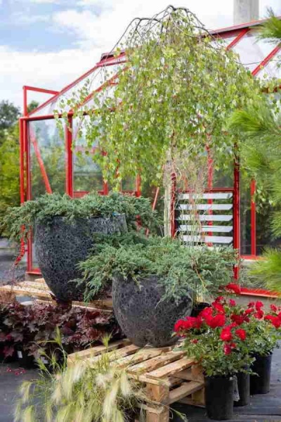 Цветочный горшок Egg round