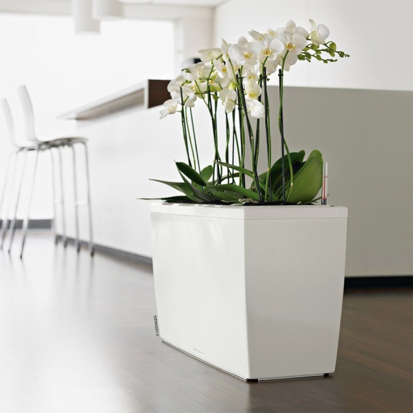 Кашпо Lechuza Cararo