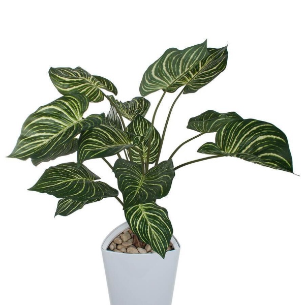 Растение искусственное Калатея в горшке Crater Silk