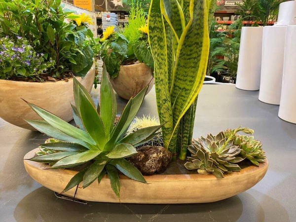 Горшок для цветов Terra Boat