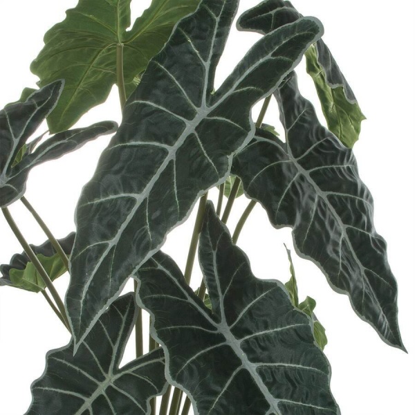 Искусственное растение Алоказия в горшке Vase Stone