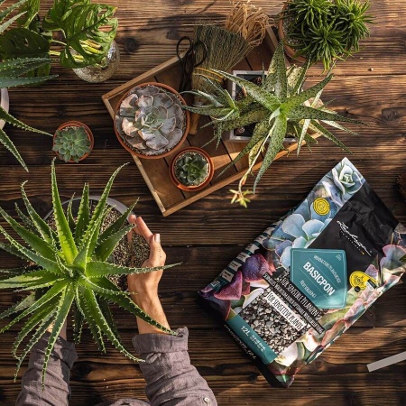 Субстрат Lechuza BASICPON