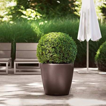 Кашпо Lechuza Classico planter only