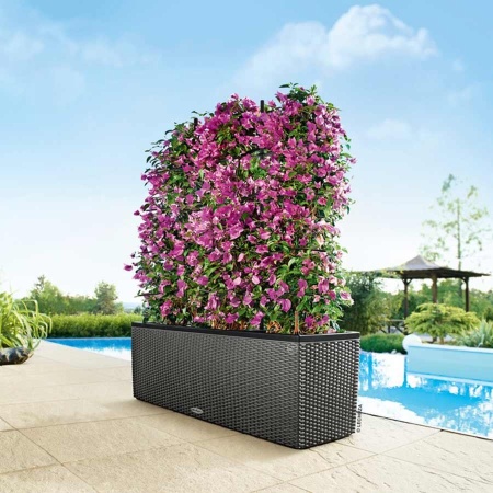 Кашпо Lechuza TRIO Cottage